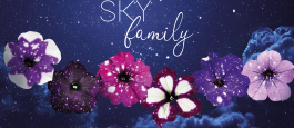 <span class="field-content">SKY Family</span>